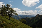 23_montée vers le ToutouliaDSC_0478